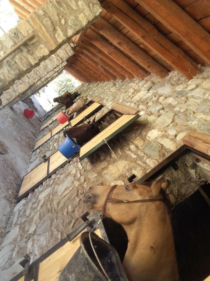 Agriturismo Al Pra Di Muriet Susa Exteriér fotografie
